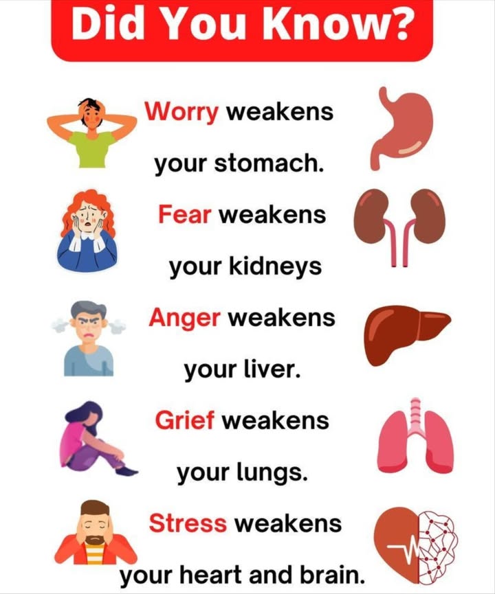 Did You Know?

Your emotions dont just affect your moodthey directly influence your bodys health.

 Worry  Stomach
Constant worrying increases stomach acid, leading to indigestion, bloating, or ulcers.

 Fear  Kidneys
Prolonged fear or anxiety can disrupt kidney function and drain your bodys energy reserves.

 Anger  Liver
Frequent anger stresses the liver, which is vital for detoxifying your body and keeping blood clean.

 Grief  Lungs
Deep sadness can weaken the lungs, making breathing harder and lowering oxygen intake.

 Stress  Heart & Brain
Chronic stress raises blood pressure, strains the heart, and reduces mental clarity.

 Takeaway: Managing emotions with mindfulness, exercise, and healthy habits strengthens both mind and body.