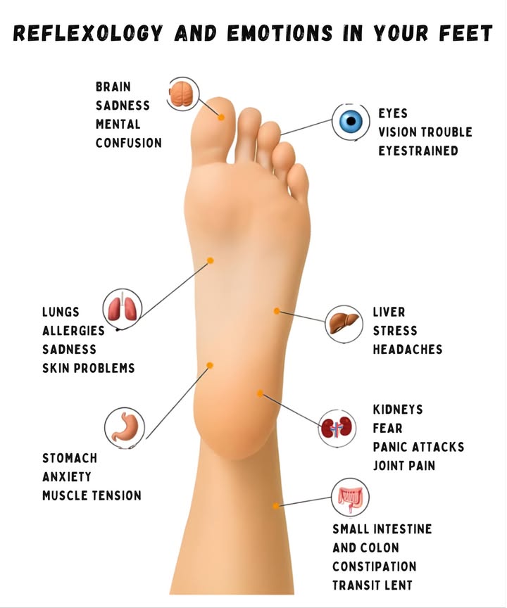 禮 Reflexology and Emotions in Your Feet 禮

Each area of the foot is connected to a body organ and emotion.
Reflexology helps detect imbalances and promote physical and mental well-being. 

 Brain  Sadness, mental confusion
 Eyes  Eyestrain, blurred vision
 Lungs  Allergies, skin problems, melancholy
 Stomach  Anxiety, muscle tension
 Liver  Stress, headaches
 Kidneys  Fear, panic, joint pain
 Small intestine and colon  Constipation, slow transit

 A gentle massage on these points helps release tension and restore inner balancefor a more natural and harmonious health.