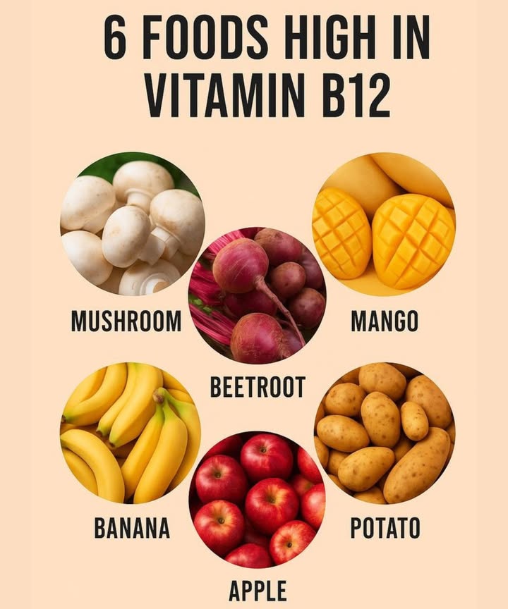 6 Foods High in Vitamin B12 Plant-Based Sources
While Vitamin B12 is typically found in animal products, some plant-based foods may contain small amounts or support better absorption when fortified or paired with B12-rich diets.

Mushroom  Certain varieties like shiitake may contain trace amounts.

Beetroot  Promotes red blood cell health and supports energy metabolism.

Mango  Rich in nutrients and may aid nutrient absorption.

Banana  Contains supportive vitamins for nervous system function.

Apple  Helps maintain gut health, which is vital for B12 absorption.

Potato  A source of energy and B-complex vitamins.

 Note: True, bioavailable Vitamin B12 is primarily found in animal-based foods or fortified products. Always check with a healthcare provider before relying solely on plant sources for B12 intake.