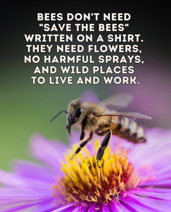 Bee-Friendly Gardening = Action, Not Just Words 
 Provide safe nesting spots
 Plant nectar-rich flowers year-round
 Avoid harmful pesticides & chemicals
 Support pollinators = protect our food supply
 A bee-friendly garden means a healthier planet and future.