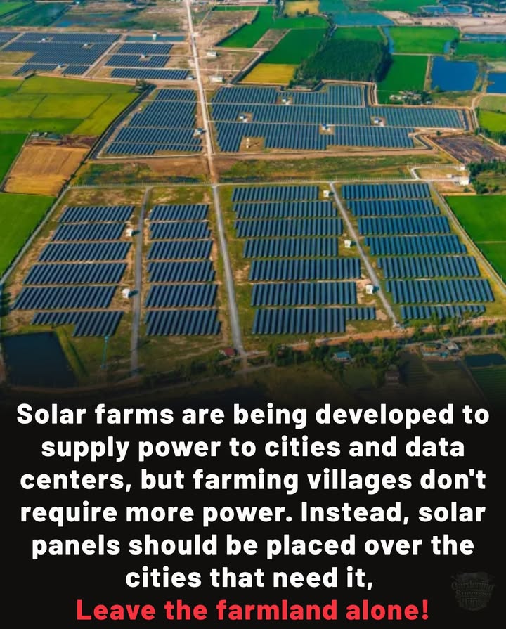 Clean energy is vital  but not at the cost of our food supply.
 Solar farms are often built on fertile farmland
 This displaces crops and farming communities
 Villages dont need massive extra power  cities and data centers do
 Panels belong on rooftops, parking lots, and urban spaces, not on the fields that feed us

 Renewable energy must grow, but farmland must remain farmland. Leave the farmland alone.
#fblifestyle