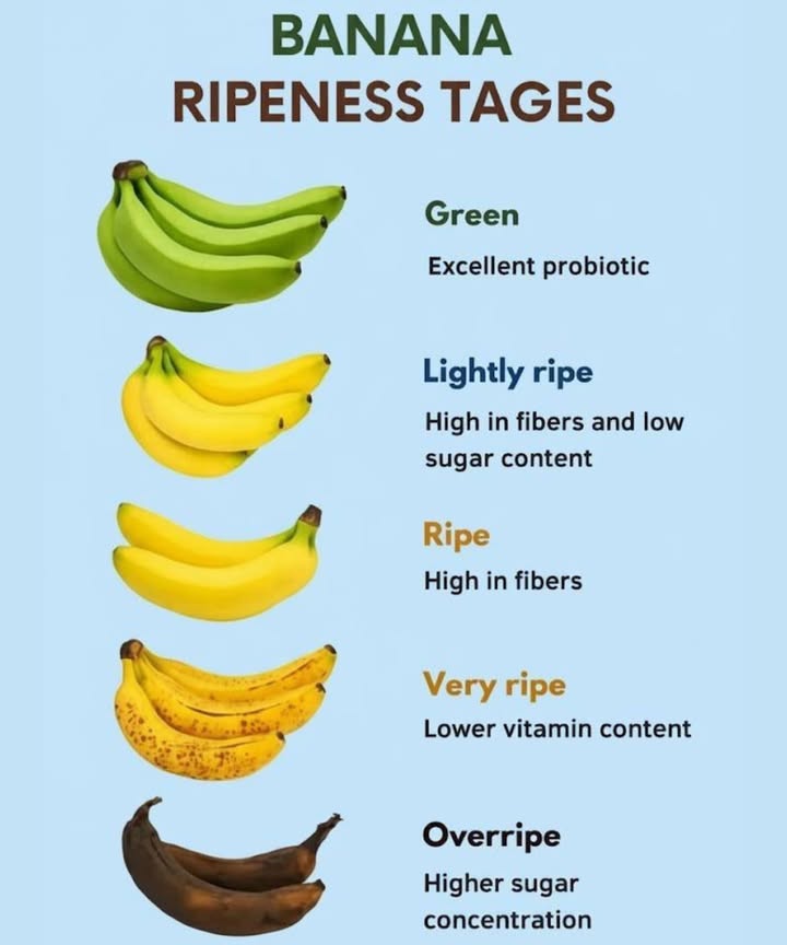 BANANA RIPENESS STAGES AND THEIR BENEFITS 
1. Green Bananas 

Excellent Probiotic

Green bananas are packed with resistant starch that acts as a prebiotic, feeding the good bacteria in your gut. This makes them great for digestion and gut health!

2. Lightly Ripe 

High in Fibers & Low Sugar Content

If you like a firm texture with less sugar, lightly ripe bananas are your go-to. Theyre rich in fiber and great for keeping you full longer, while being lower in sugar than fully ripe bananas.

3. Ripe 

High in Fibers

Ripe bananas have reached their sweet spot, packed with plenty of fiber. This stage is perfect for digestion and keeping your bowels regular!

4. Very Ripe 

Lower Vitamin Content

As bananas turn darker, the vitamin content starts to decrease, but they become sweeter! Theyre a great option for those who prefer a sweeter taste but are looking for a gentler impact on their blood sugar.

5. Overripe 

Higher Sugar Concentration

Overripe bananas are the sweetest, but they contain a higher concentration of sugar. These bananas are best for smoothies, baking, or just a quick sweet snack!