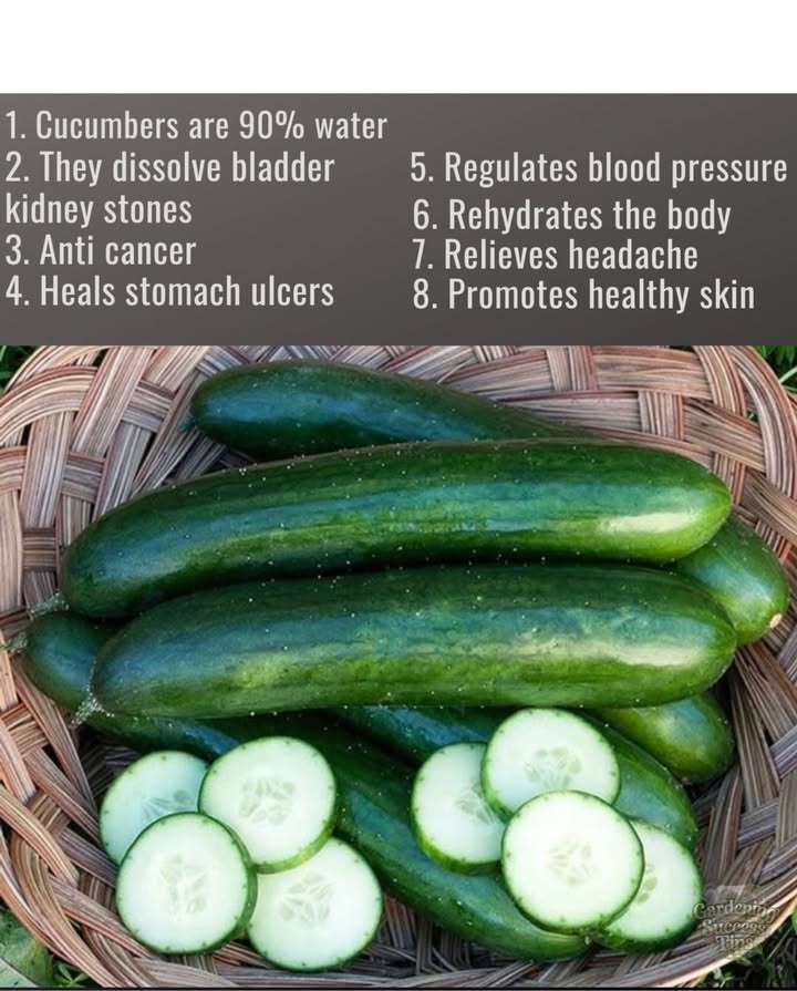 勒 Cucumber magic in every bite