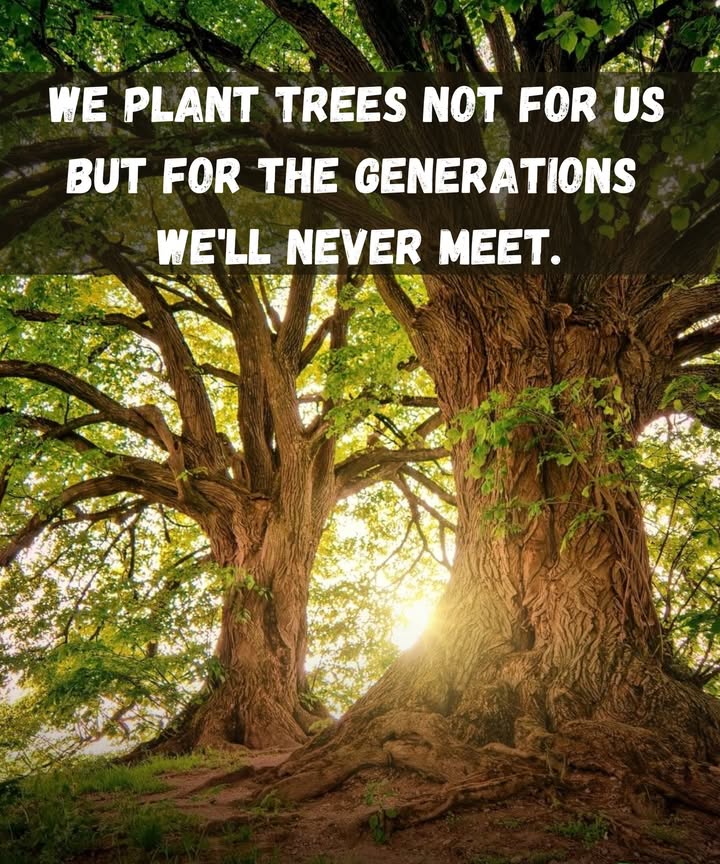 Planting Trees = Planting a Legacy 

We plant trees not just for ourselves, but for generations we may never meet.

 Why it matters:
 They give shade and shelter.
 They clean the air we breathe.
 They offer food and homes for wildlife.
 They make the future greener, healthier, and more abundant.

The beauty of planting today?
Its a gift that keeps growinglong after were gone.