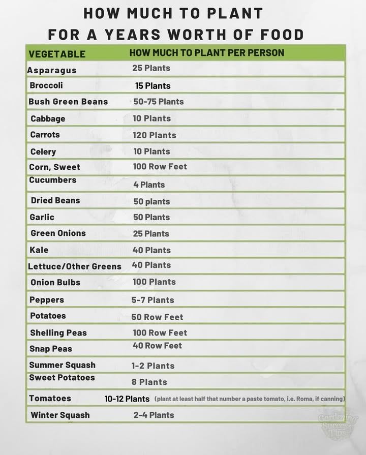 Your Ultimate Planting Guide for a Year of Homegrown Food