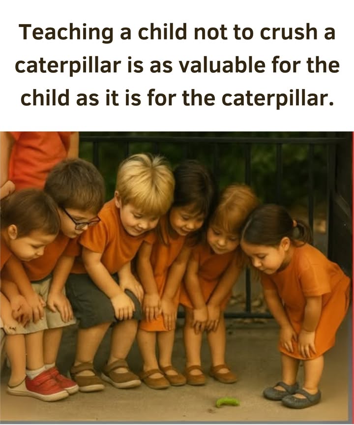 Educate children to respect life from childhood 

Teaching children to observe and protect the smallest creatures, like caterpillars, develops their empathy, their sense of responsibility, and their connection with nature.
This simple gesture awakens in them a deep respect for all life forms and helps them understand the value of each species in the balance of the ecosystem.

 Every little helps
Protecting a caterpillar means saving a future butterfly, but also cultivating a sensitivity that will stay with them throughout their lives.
Educating children to be compassionate from a young age means planting the seeds of a more conscious and caring world.