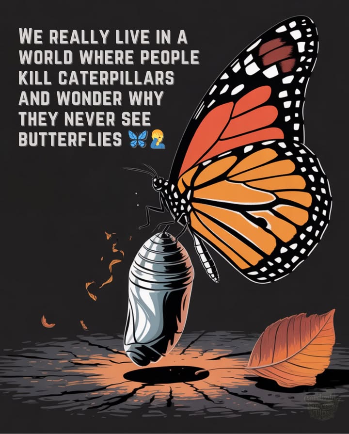 No caterpillars  = no butterflies 曆 Its that simple. 
 Let them grow.
 Plant native host plants.
 Skip the pesticides.
曆 Watch the magic happen.
