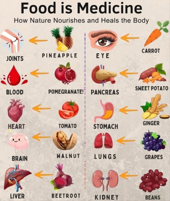 Food is Medicine: How Nature Nourishes and Heals the Body
1. Joints  Pineapple
 Packed with anti-inflammatory properties, pineapple helps to ease joint pain and improve mobility.

2. Blood  Pomegranate
 Rich in antioxidants, pomegranates support healthy blood circulation and can help improve blood flow.

3. Heart  Tomato
 Tomatoes are rich in lycopene, promoting heart health and reducing the risk of heart disease.

4. Brain  Walnut
樂 Full of omega-3 fatty acids, walnuts are great for brain health, improving memory and cognitive function.

5. Liver  Beetroot
 Beetroots support detoxification and help cleanse the liver, promoting optimal liver function.

6. Eye  Carrot
凌 With high levels of beta-carotene, carrots support healthy vision and protect against eye-related issues.

7. Pancreas  Sweet Potato
 Sweet potatoes are rich in antioxidants and help regulate blood sugar, supporting pancreatic health.

8. Stomach  Ginger
 Ginger aids digestion, soothes the stomach, and alleviates nausea and bloating.

9. Lungs  Grapes
 Grapes are rich in antioxidants that help protect the lungs and improve respiratory health.

10. Kidney  Beans
 Beans are a great source of protein and fiber, supporting kidney health by reducing inflammation and regulating blood pressure.