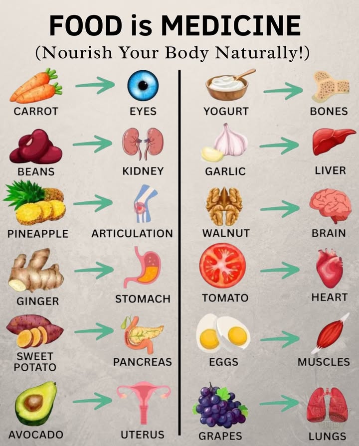Discover how everyday foods support different parts of your body:

 Carrot  Supports eye health
 Beans  Strengthen kidneys
 Pineapple  Eases joint pain
 Ginger  Calms the stomach
 Sweet Potato  Nourishes the pancreas
 Avocado  Supports reproductive health
 Yogurt  Strengthens bones
 Garlic  Protects the liver
 Walnut  Fuels your brain
 Tomato  Boosts heart health
 Eggs  Build strong muscles
 Grapes  Benefit the lungs

Eat well, feel well  natures pharmacy is always open.