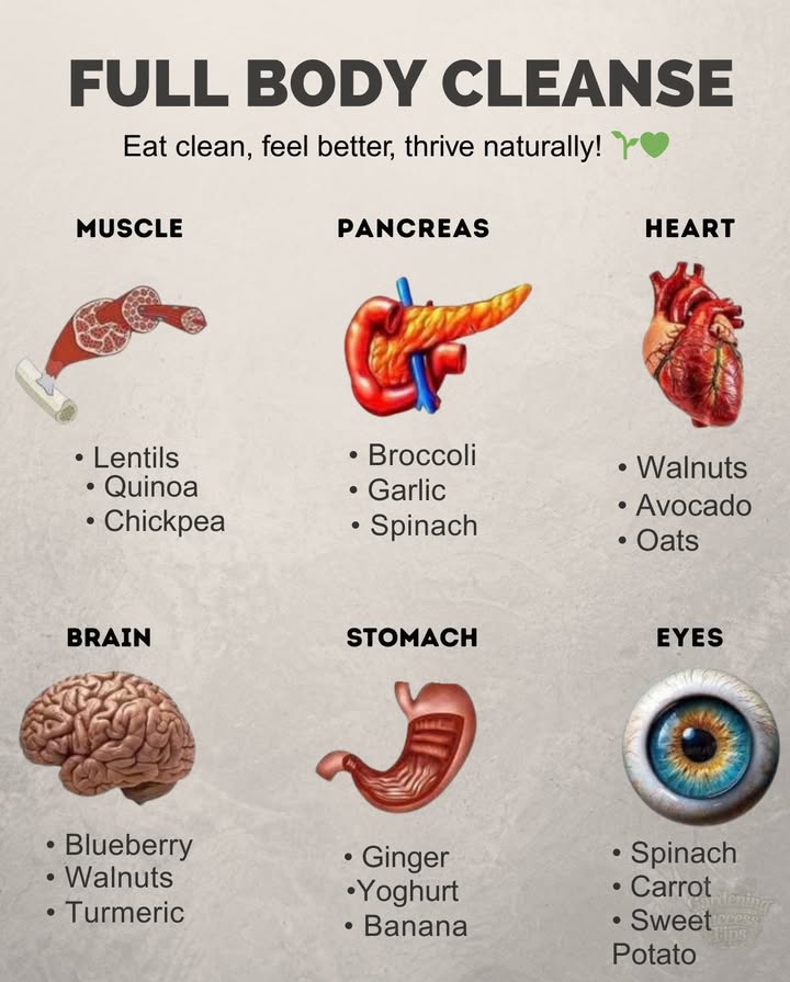 Nourish Every Organ with Food!
Support your body from head to toe with natural, wholesome foods that target each system:
 Lentils & quinoa fuel muscles
喙 Broccoli & spinach detox the pancreas
 Walnuts & oats boost heart health
易 Blueberries & turmeric sharpen the mind
北 Ginger & yogurt soothe digestion
 Spinach & sweet potatoes protect vision